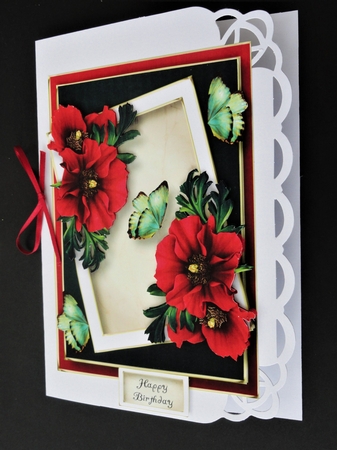 The Angled Frame - Poppies by Valerie Spowart
