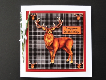 Stag Birthday  by Valerie Spowart