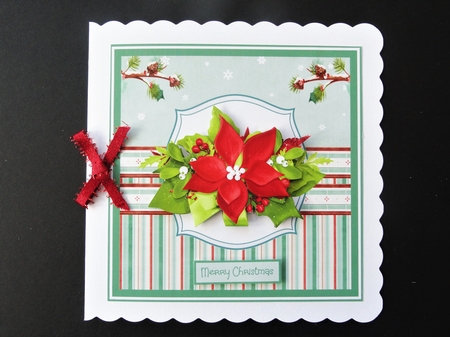 Christmas poinsettia by Valerie Spowart