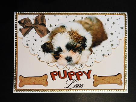 Puppy Love, Cute Little Pooch on Scalloped Envelope by Valerie Spowart