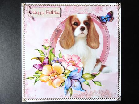 Cavalier King Charles Spaniel & Flowers Step by Step by Valerie Spowart