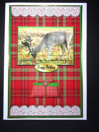 Stag on Tartan Background Qs by Valerie Spowart