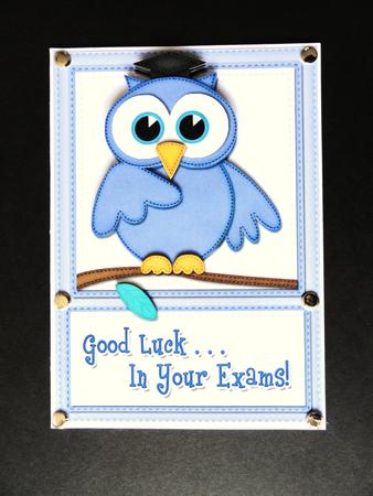 A5 Wise Owl Good Luck Exam Felties Quick Card 3D Decoupage by Valerie Spowart
