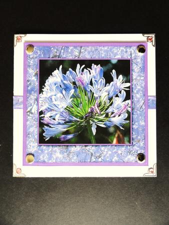 Purple Flower Topper by Valerie Spowart