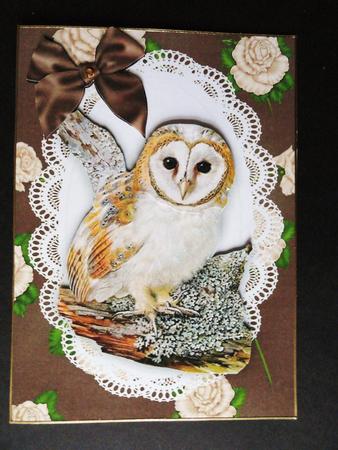 Gorgeous Owl on a Branch, on Lace Frame with Cream Roses by Valerie Spowart
