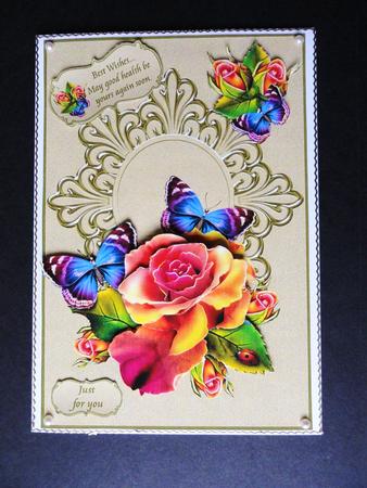 Rainbow Roses Two by Valerie Spowart