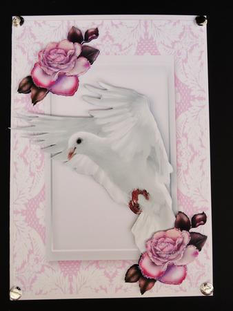 Dove in Flight with Pink Roses in Lace Frame by Valerie Spowart
