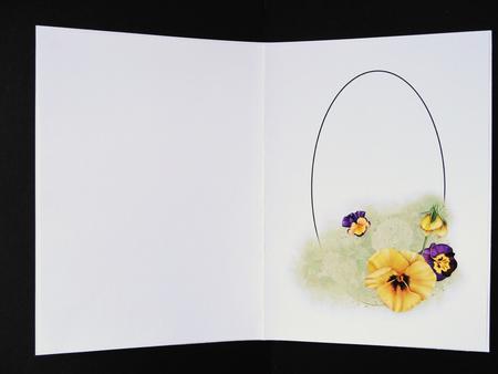Floral Pansy by Valerie Spowart