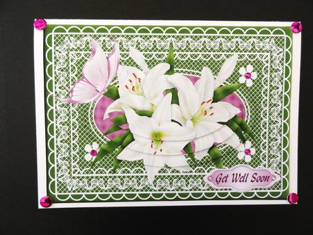 Lilly's and Butterfly on Lace Qs by Valerie Spowart