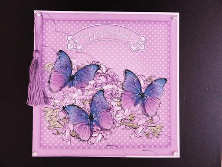 8 x 8 Birthday Butterflies N Flowers Scalloped Corner Kit by Valerie Spowart