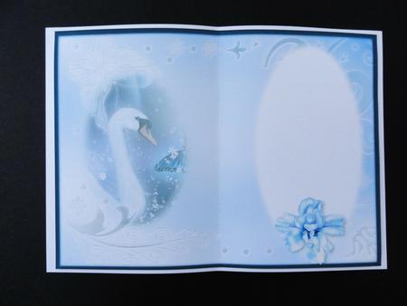 Midnight Swan in Blue Insert by Valerie Spowart