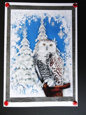 Beautiful Snow Owl with Winter Scene A4 by Valerie Spowart