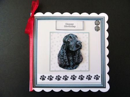 Cocker Spaniel Portrait by Valerie Spowart