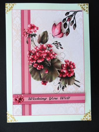 Geraniums by Valerie Spowart