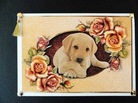 Golden Retriever Puppy & Fantasy Roses by Valerie Spowart