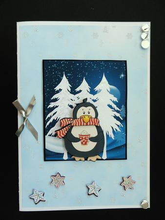 Snow Flakes Backing Paper by Valerie Spowart