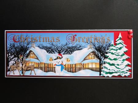 Large Dl Card Over the Side Christmas Greetings by Valerie Spowart