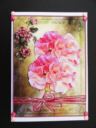 Pink Geraniums on Vintage Background by Valerie Spowart