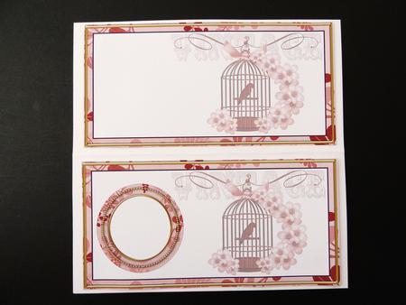 Pink Birdcage Dl Insert Panel by Valerie Spowart