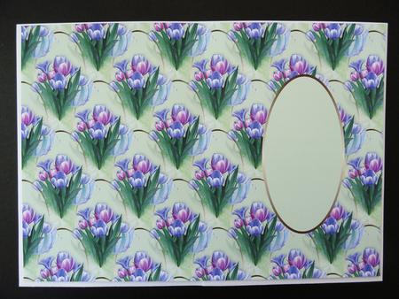 Tulips and Butterflies Insert by Valerie Spowart