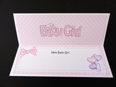New Baby Girl Matching Large Dl Insert by Valerie Spowart