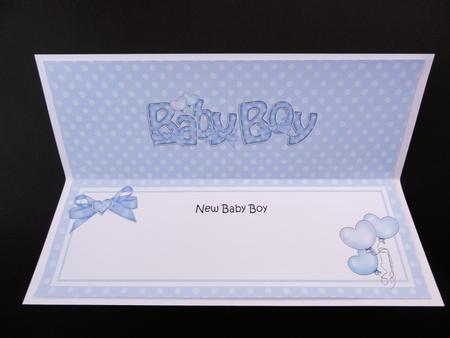 New Baby Boy Matching Large Dl Insert by Valerie Spowart