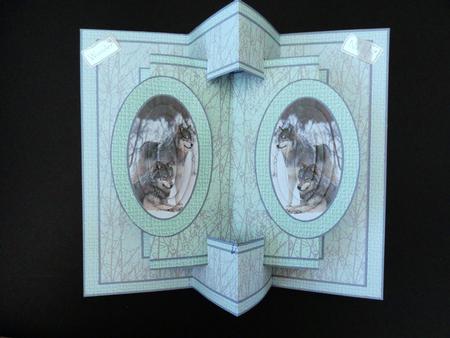 3D Double Concertina Pop-out  by Valerie Spowart