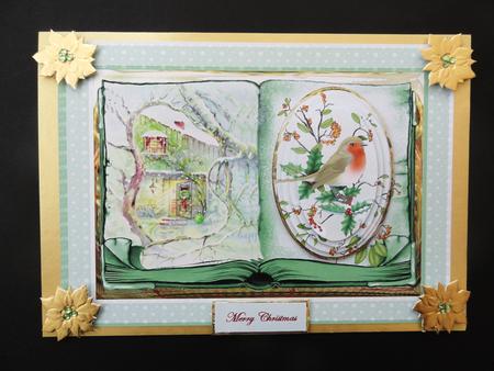 Robin Redbreast in the Garden Card by Valerie Spowart