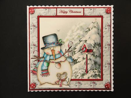 Snowman and the Birds Flying Home by Valerie Spowart