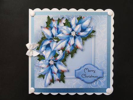 Ice Blue Poinsettia Lacey Square by Valerie Spowart