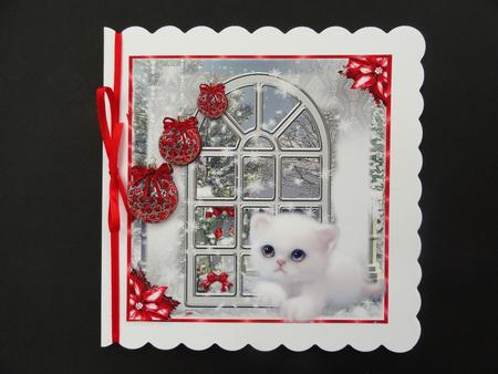 The Christmas Kitten by Window with Red Decorations by Valerie Spowart