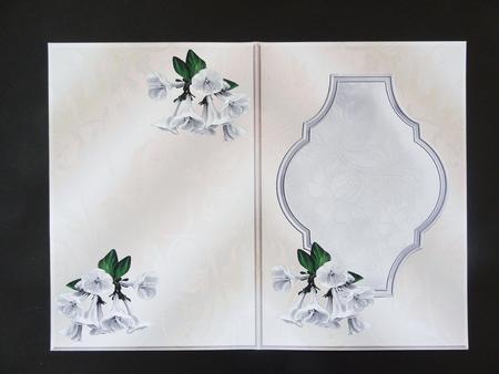 Insert Silver Wedding by Valerie Spowart