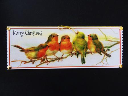 Simply Robins Card Front and Insert by Valerie Spowart