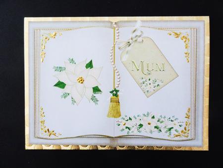 A5 Cream Open Book with Matching Insert by Valerie Spowart