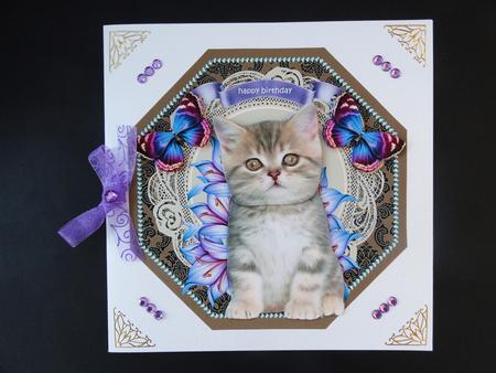 Octagon Cute Kitten by Valerie Spowart