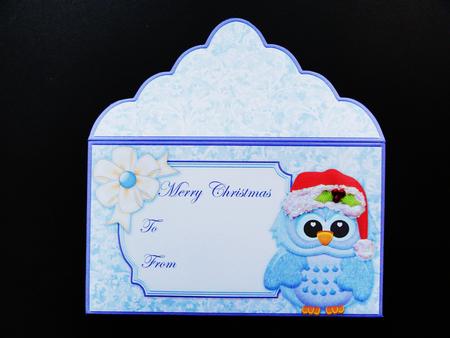 Christmas Money Wallet Blue Owl in Santa Hat by Valerie Spowart