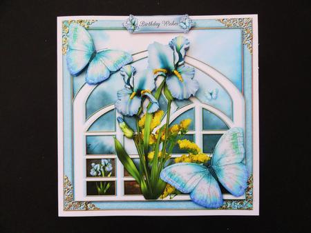 Iris & Trellis by Valerie Spowart