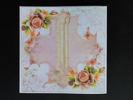 Insert to Compliment Lace and Apricot Rose by Valerie Spowart
