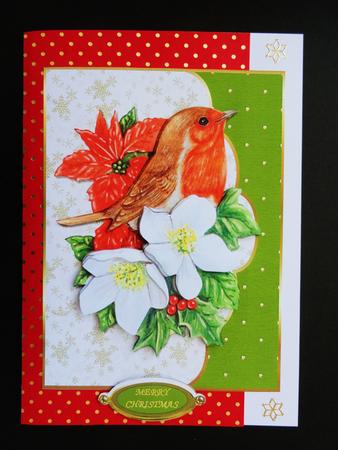 The Christmas Robin Faux Envelope by Valerie Spowart