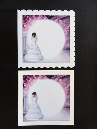 Beautiful Blushing Bride 5x5 Insert Panels by Valerie Spowart