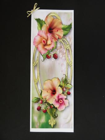 Large Dl Peach Hibiscus & Golden Frame by Valerie Spowart