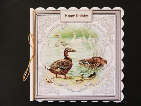 Ducks and Swans Swimming Card 3with Petal Stacker by Valerie Spowart