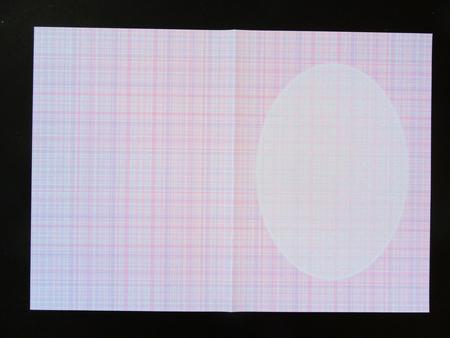 Pale Pink Plaid Insert by Valerie Spowart