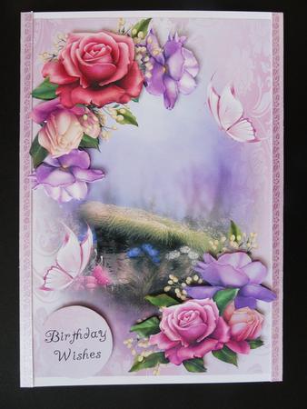 Soft Belle Epoque Roses by Valerie Spowart