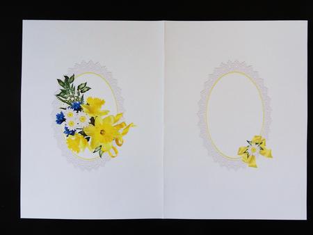 Beautiful Daffodils Insert by Valerie Spowart