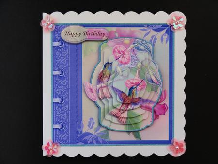 Humming Birds & Exotic Flowers Quick Card Topper & Pyramage by Valerie Spowart