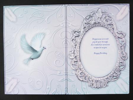Flight of Fantasy 6 Insert by Valerie Spowart