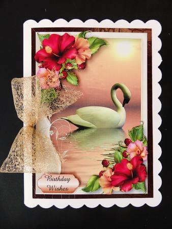 Serene Swan with Beautiful Hibiscus Flowers by Valerie Spowart