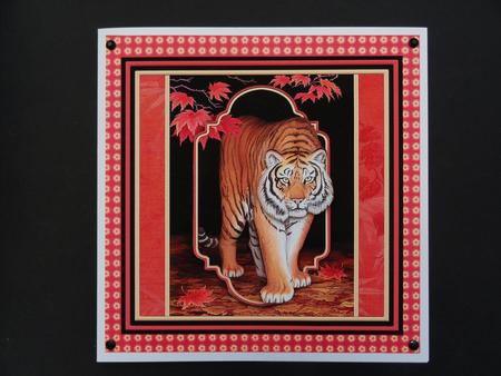 Tiger 8x8 Mini Kit & Decoupage by Valerie Spowart