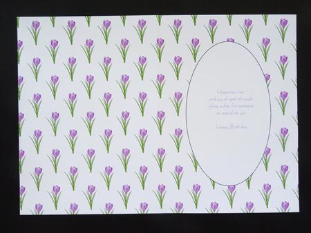 Purple Crocus Insert by Valerie Spowart